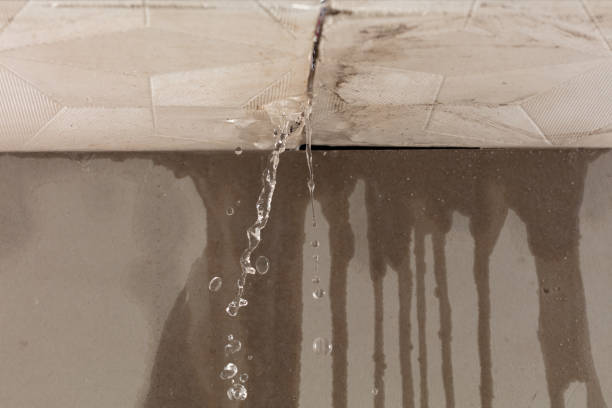 Professional Structural Drying technician working in Pettisville, OH
